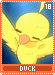 duck18