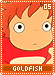 goldfish05