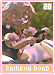 rainbowroad20