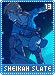 sheikahslate13
