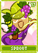 sprout17