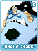 whaleshark16
